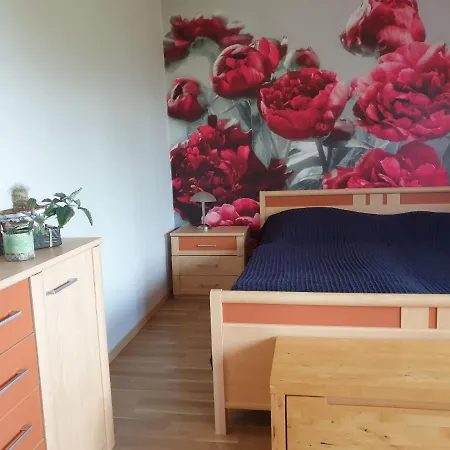 Zentrumnahe Grosse Mit Sudbalkon - #133056 Appartamento